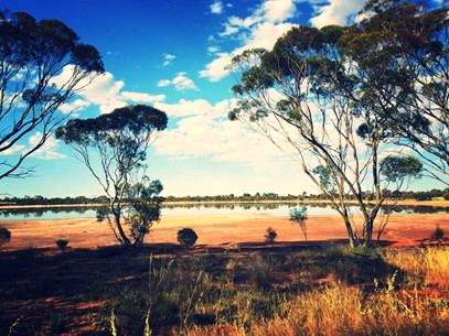 Rural Minds workshop