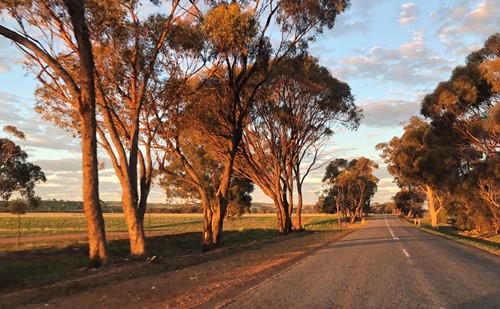 Mental Health First Aid Courses